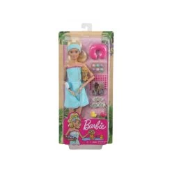 Barbie Wellness Doll Asst